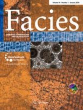 Facies - Springer (10347) - modelo ABNT