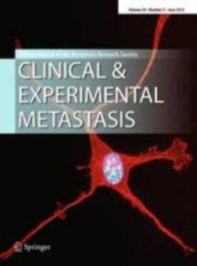 Clinical & Experimental Metastasis - Springer (10585) - modelo ABNT