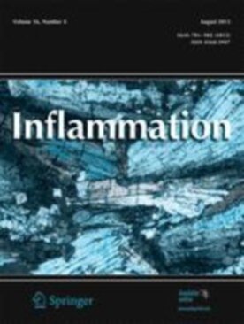 Inflammation - Springer (10753) - modelo ABNT
