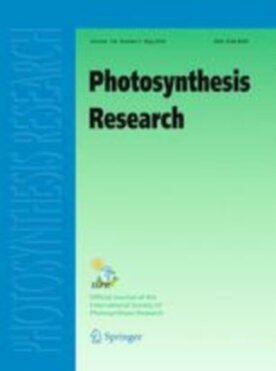 Photosynthesis Research - Springer (11120) - modelo ABNT