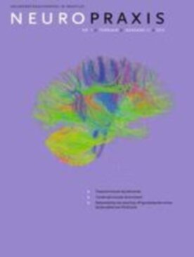 Neuropraxis - Springer (12474) - modelo ABNT