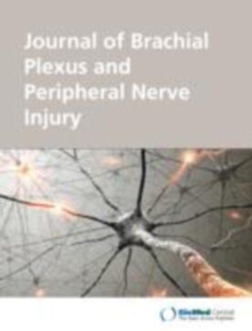 Journal of Brachial Plexus and Peripheral Nerve Injury - Springer (13016) - modelo ABNT