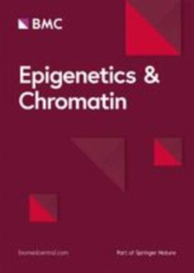 Epigenetics & Chromatin - Springer (13072) - modelo ABNT