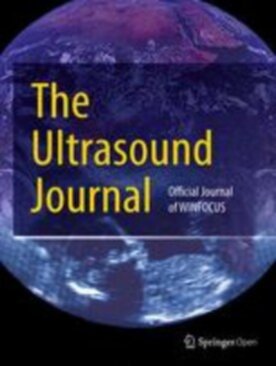 The Ultrasound Journal - Springer (13089) - modelo ABNT
