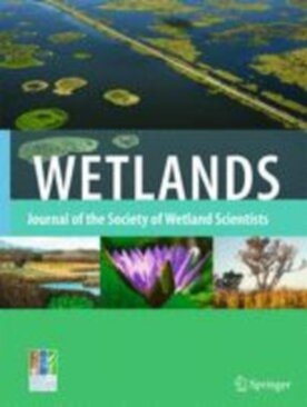 Wetlands - Springer (13157) - modelo ABNT