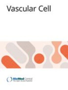 Vascular Cell - Springer (13221) - modelo ABNT