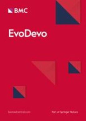 EvoDevo - Springer (13227) - modelo ABNT