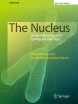 The Nucleus - Springer (13237) - modelo ABNT