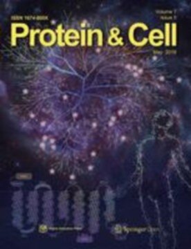 Protein & Cell - Springer (13238) - modelo ABNT