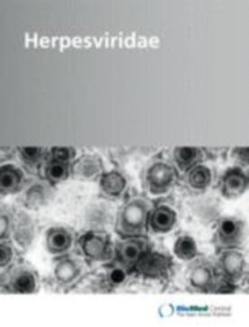 Herpesviridae - Springer (13276) - modelo ABNT