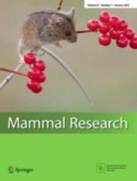 Mammal Research - Springer (13364) - modelo ABNT