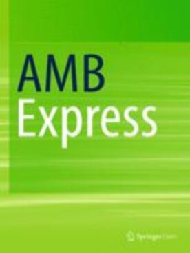 AMB Express - Springer (13568) - modelo ABNT