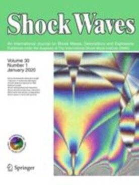 Shock Waves - Springer (193) - modelo ABNT