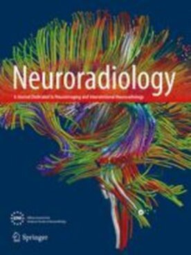 Neuroradiology - Springer (234) - modelo ABNT