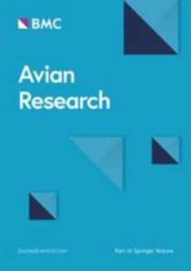 Avian Research - Springer (40657) - modelo ABNT