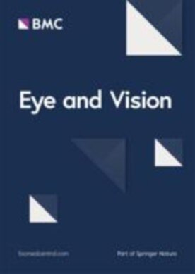 Eye and Vision - Springer (40662) - modelo ABNT