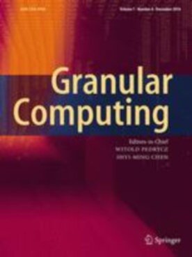 Granular Computing - Springer (41066) - modelo ABNT