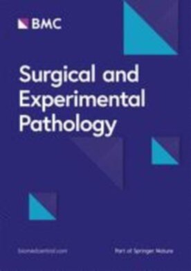 Surgical and Experimental Pathology - Springer (42047) - modelo ABNT