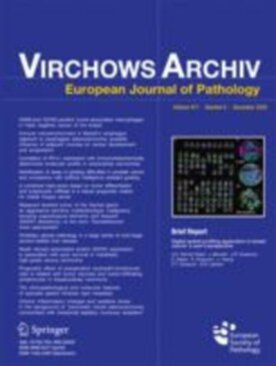 Virchows Archiv - Springer (428) - modelo ABNT