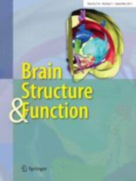 Brain Structure and Function - Springer (429) - modelo ABNT