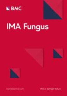 IMA Fungus - Springer (43008) - modelo ABNT