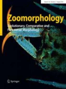 Zoomorphology - Springer (435) - modelo ABNT