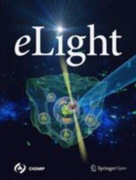 eLight - Springer (43593) - modelo ABNT