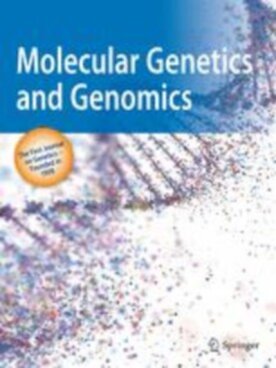 Molecular Genetics and Genomics - Springer (438) - modelo ABNT