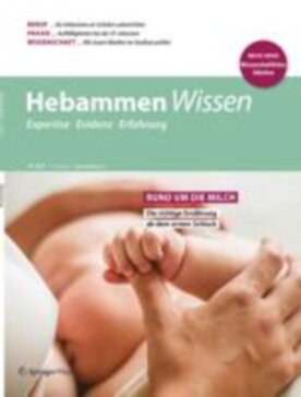 Hebammen Wissen - Springer (43877) - modelo ABNT