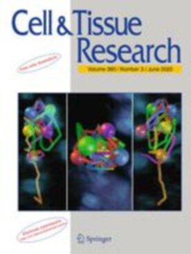 Cell and Tissue Research - Springer (441) - modelo ABNT