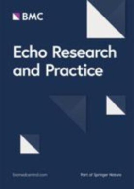 Echo Research & Practice - Springer (44156) - modelo ABNT
