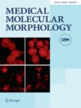 Medical Molecular Morphology - Springer (795) - modelo ABNT